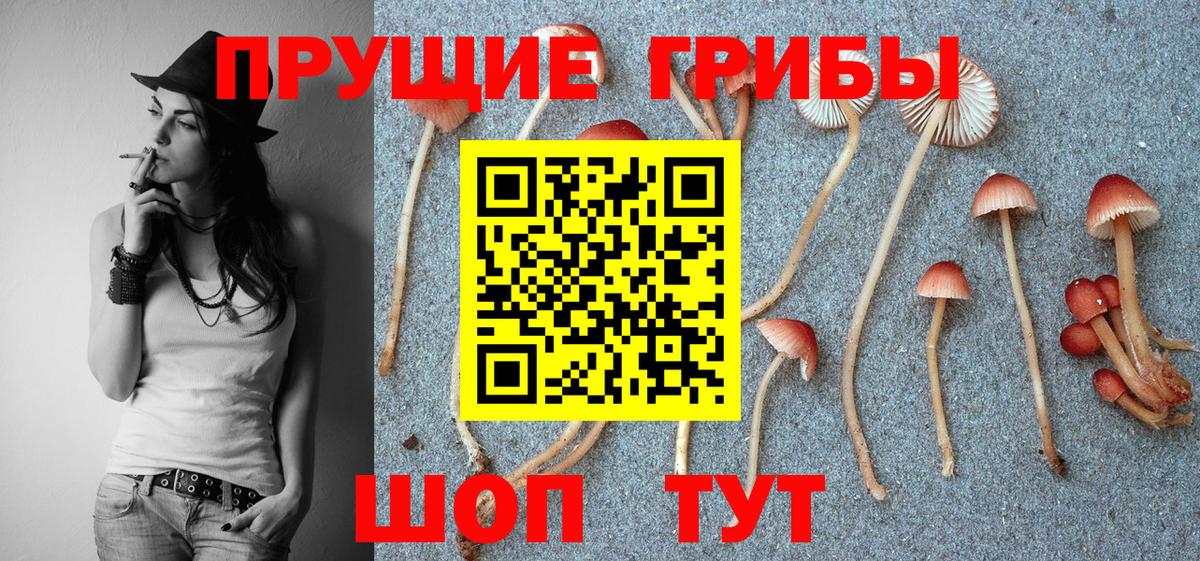 Галлюциногенные грибы GOLDEN TEACHER Кирово-Чепецк
